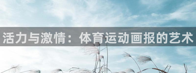 vsport体育官网下载开户：活力与激情：体育运动画