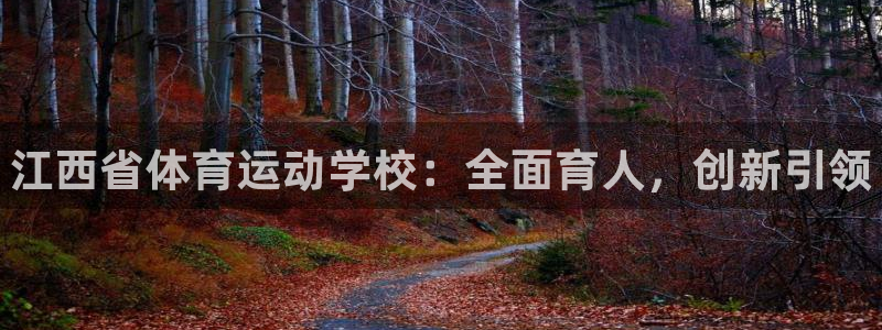 vsport体育官网下载平台APP：江西省体育运动学