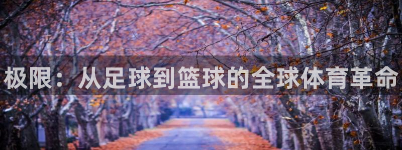 vsport体育官网下载：极限：从足球到篮球的全球体
