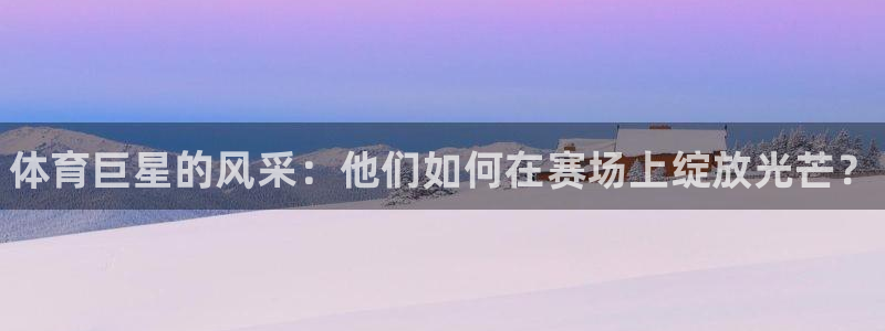 vsport体育官网下载平台APP：体育巨星的风采：