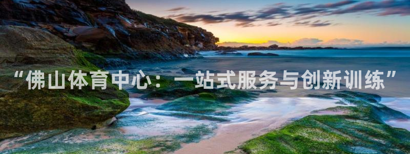 vsport体育官方正版app神州：“佛山体育中心：