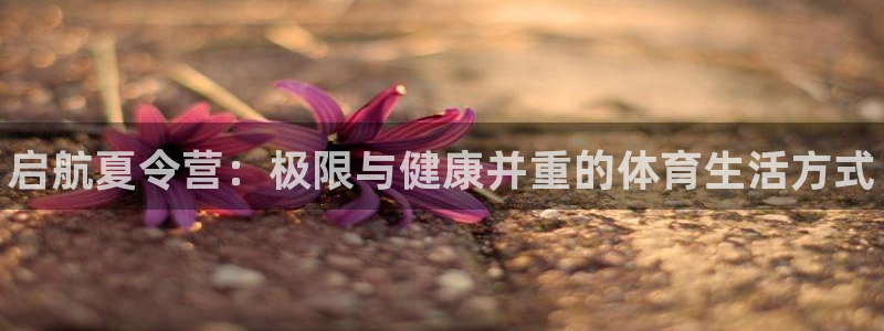 vsport体育官网下载是干嘛的公司：启航夏令营：极
