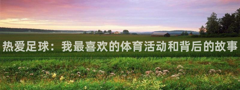 vsport体育官网下载平台是正规平台吗知乎：热爱足