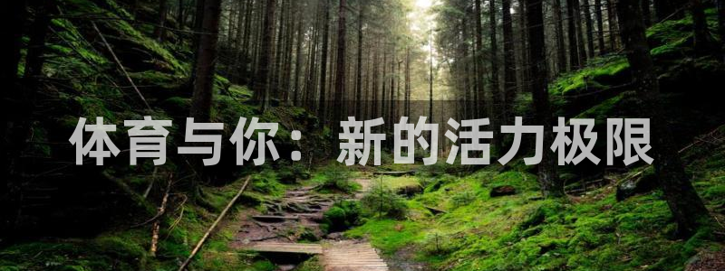 vsport体育官网下载平台注册要钱吗安全吗：体育与