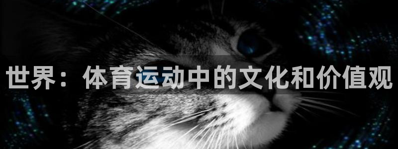 vsport体育官方正版app娱乐40996：世界：体育运动