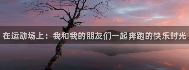 vsport体育官网下载娱乐：在运动场上：我和我的朋友们一起