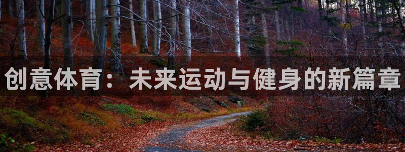 vsport体育官方正版app娱乐：创意体育：未来运