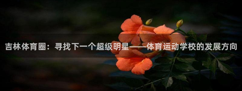 vsport体育官方正版app娱乐40996：吉林体育圈：寻