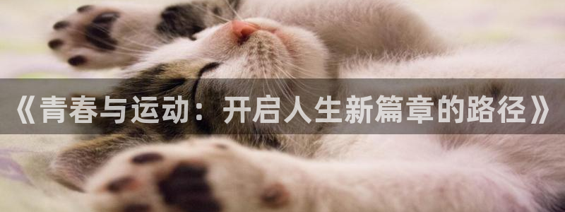 vsport体育官网下载是干嘛的公司：《青春与运动：开启人生