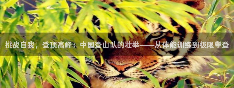 vsport体育官方正版app开户：挑战自我，登顶高峰：中国