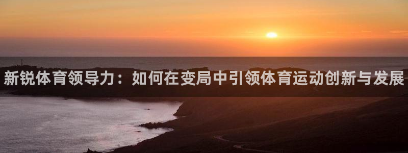 vsport体育官方正版app官网：新锐体育领导力：