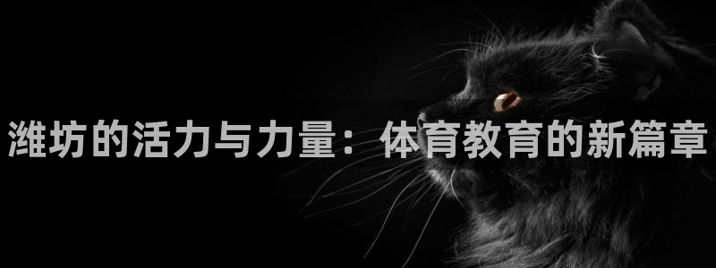 vsport体育官方正版app娱乐平台：潍坊的活力与力量：体