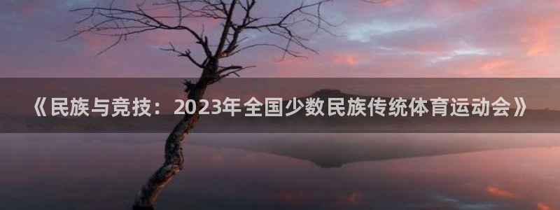 vsport体育官网下载招商电话是多少：《民族与竞技