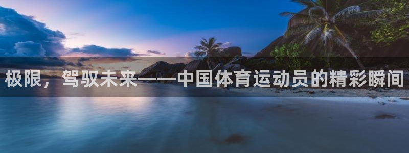 vsport体育官方正版app娱乐是那个系列的台子：