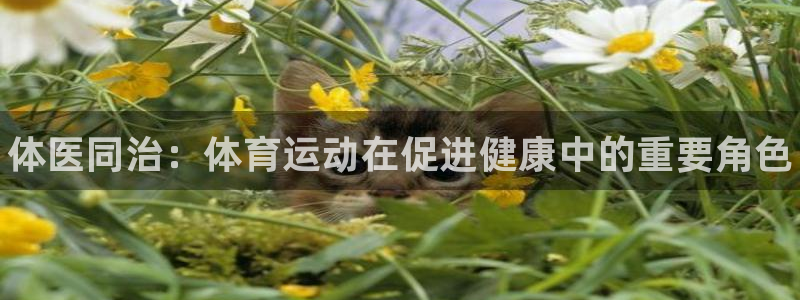 vsport体育官方正版app新能源：体医同治：体育运动在促
