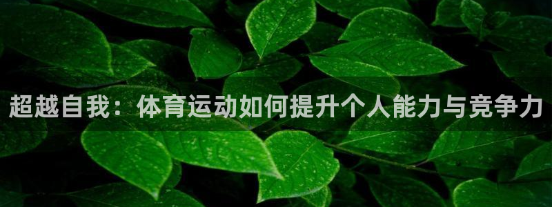 vsport体育官方正版app娱乐40996