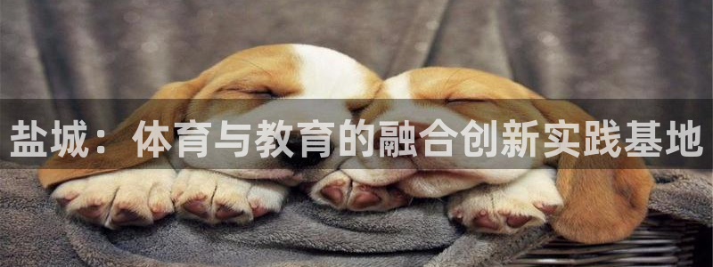 vsport体育官网下载招商电话号码是多少：盐城：体育与教育