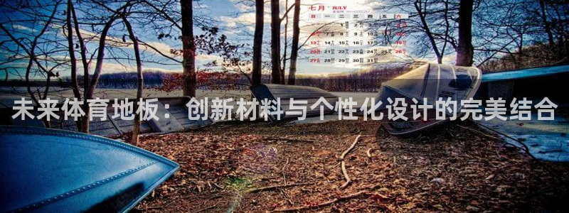 vsport体育官网下载招商电话号码是多少啊：未来体育地板：