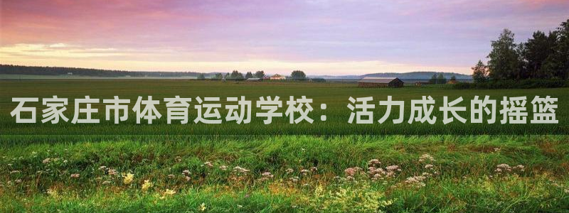vsport体育官方正版app五金厂