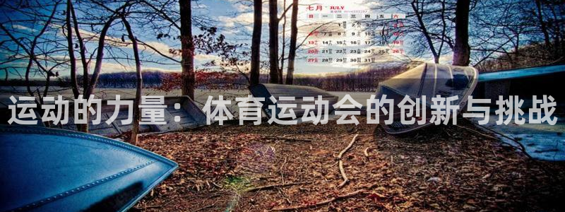 德国vsport体育官方正版app集团：运动的力量：体育运动