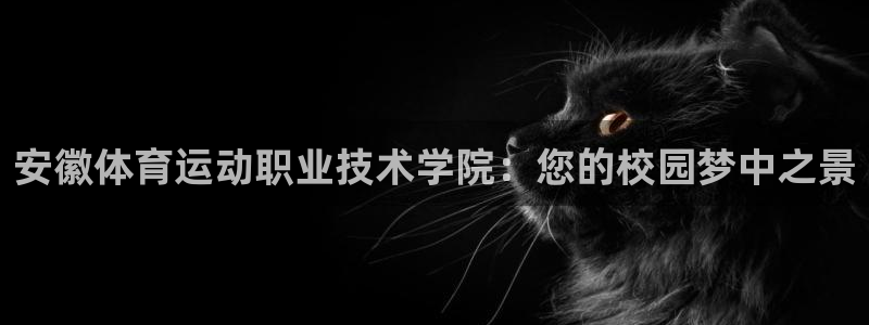 vsport体育官方正版app娱乐是那个系列的台子：安徽体育