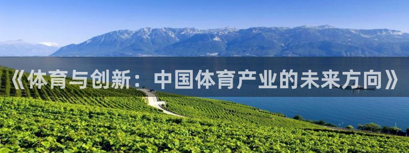 vsport体育官网下载平台注册：《体育与创新：中国体育产业