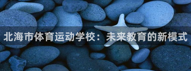 vsport体育官方正版app五金厂：北海市体育运动学校：未