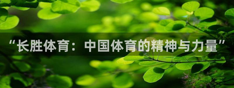 vsport体育官方正版app娱乐首页网站大全：“长