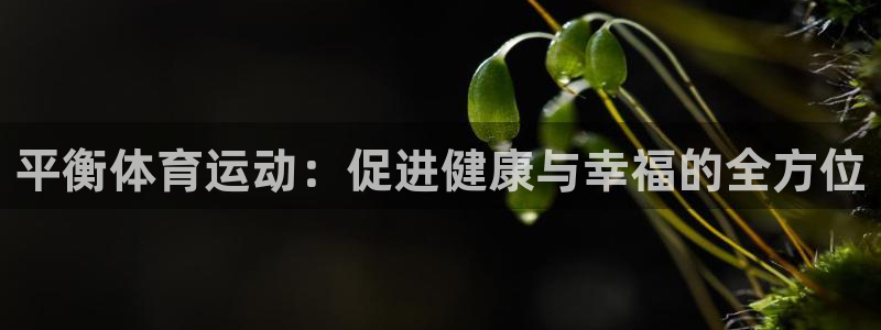 vsport体育官网下载平台注册流程图：平衡体育运动
