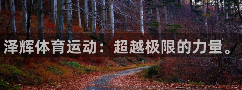 vsport体育官方正版app新能源：泽辉体育运动：超越极限