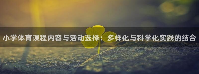 vsport体育官方正版app娱乐网站