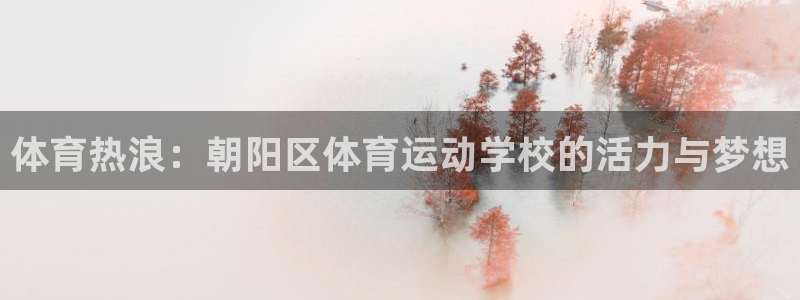 vsport体育官网下载平台注册流程图：体育热浪：朝阳区体育