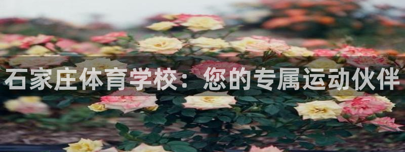 vsport体育官方正版app集团简介:石家庄体育学校:您的