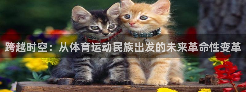 海南vsport体育官网下载发展怎么样:跨越时空:从体育运动