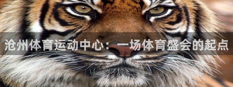 vsport体育官网下载联系电话：沧州体育运动中心：一场体育