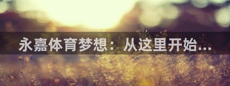 vsport体育官网下载平台假的吗是真的吗：永嘉体育梦想：从