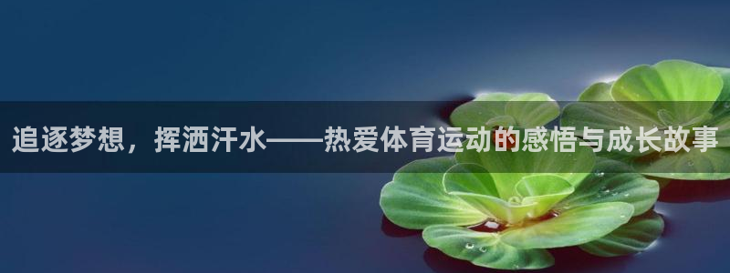 vsport体育官方集团官网：追逐梦想，挥洒汗水——热爱体育