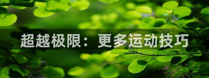 vsport体育官方正版app集团官网网址:超越极限:更多运