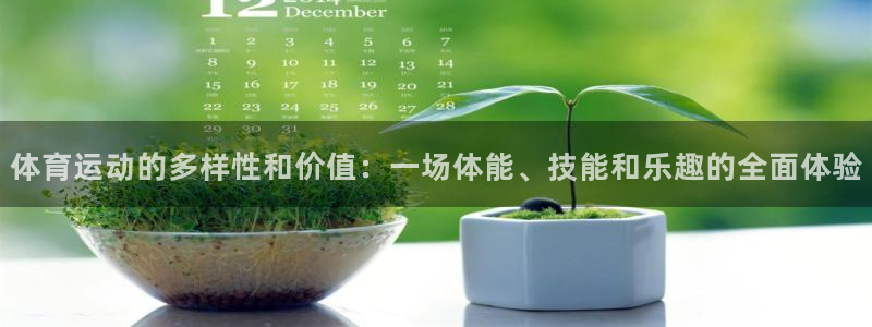 vsport体育官网下载招商电话是多少啊：体育运动的多样性和